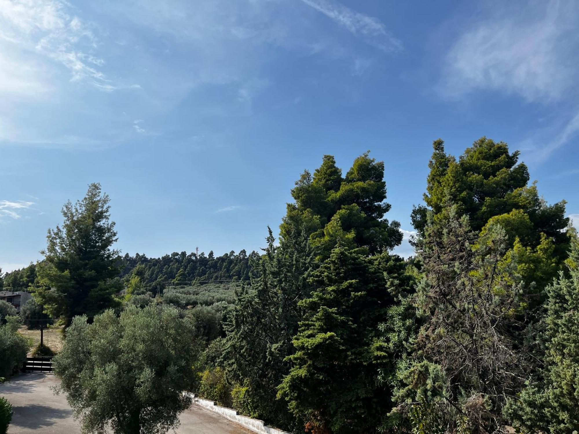 Paradise Kriopigi Dış mekan fotoğraf