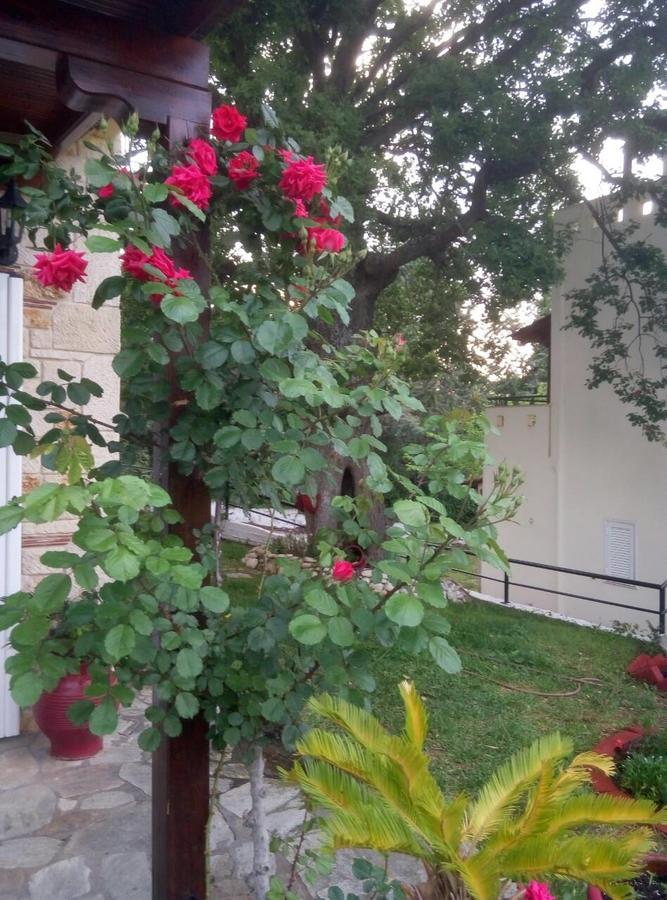 Paradise Kriopigi Dış mekan fotoğraf
