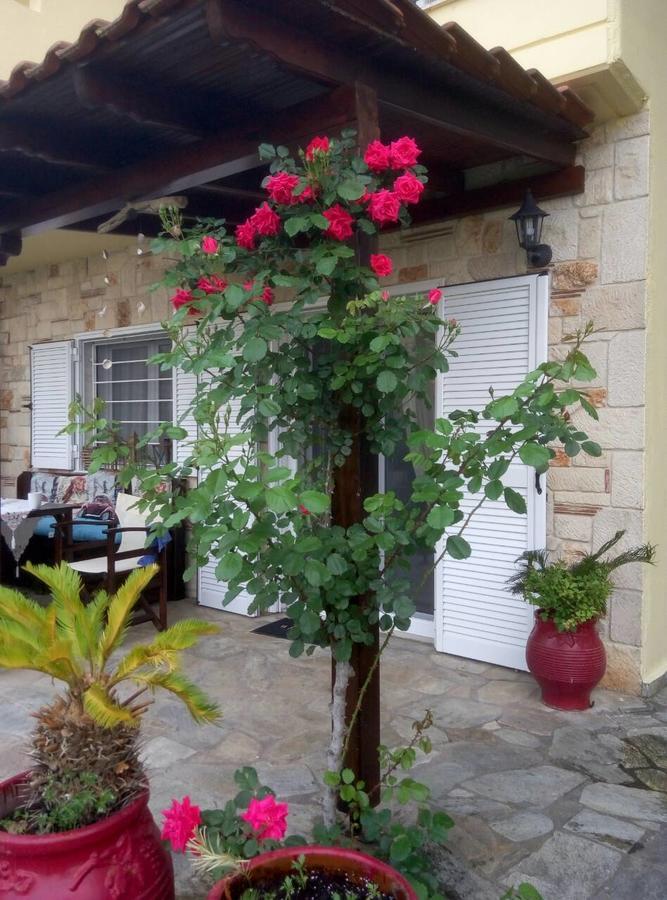 Paradise Kriopigi Dış mekan fotoğraf